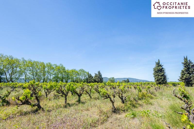 Propriété - 530 m² - 23 pièces