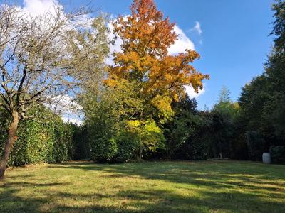 Terrain de loisirs - 1 290 m²