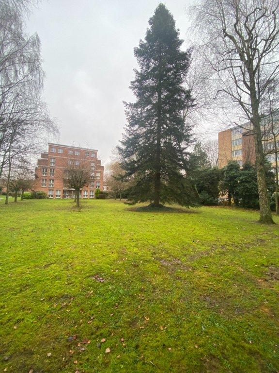 Studio - 33 m² - 1 pièce