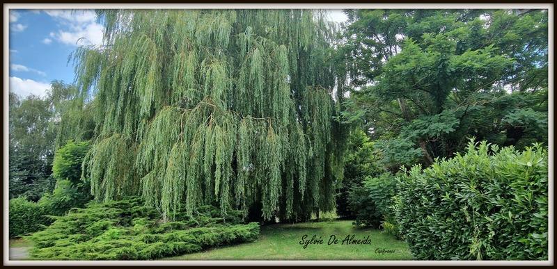 Maison - 270 m² - 8 pièces