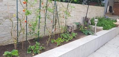 Appartement - 115 m² - 3 pièces