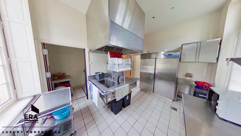 Château - 600 m² - 15 pièces