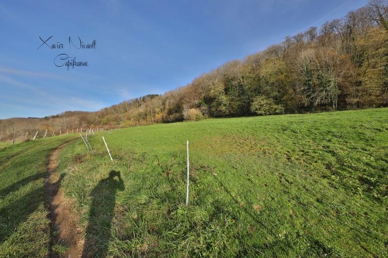 Haras - 190 m² - 6 pièces