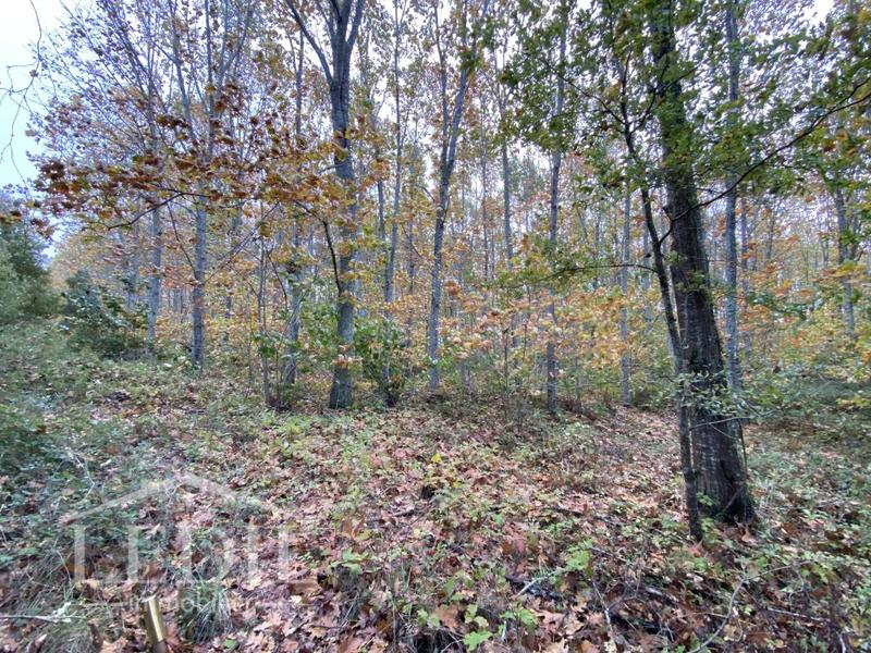 Maison - 79 m² - 3 pièces