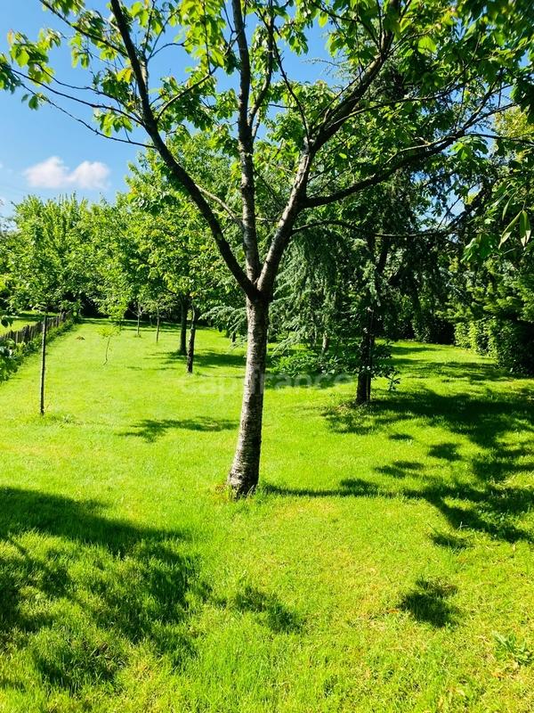 Maison de bois - 140 m² - 9 pièces