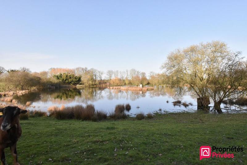 Terrain de loisirs - 41 945 m²