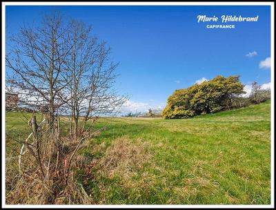 Terrain constructible - 2 396 m²