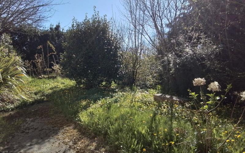 Maison en pierre - 90 m² - 5 pièces