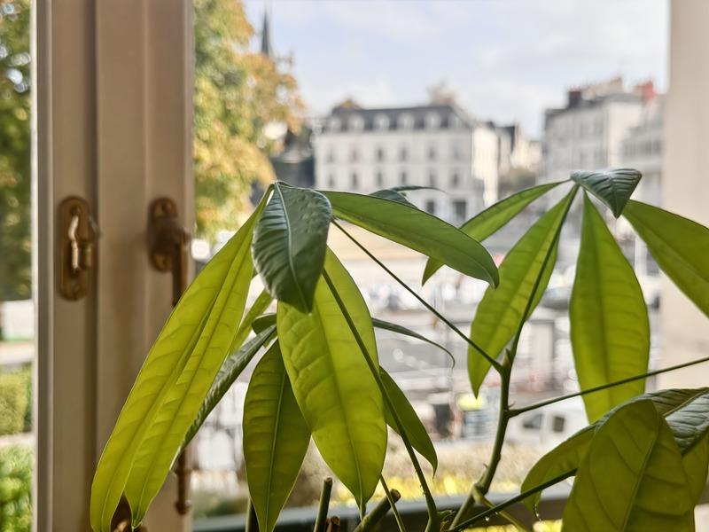 Appartement bourgeois - 130 m² - 5 pièces