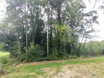 Terrain constructible - 1 992 m²