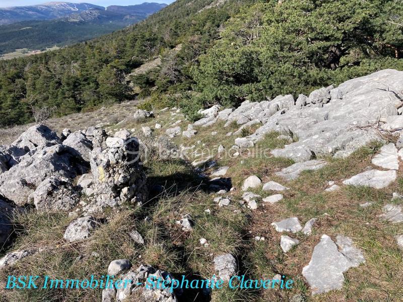 Terrain agricole - 10 100 m²