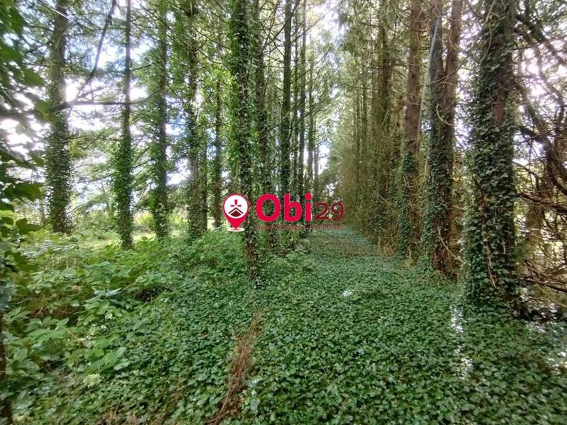 Maison - 54 m² - 3 pièces