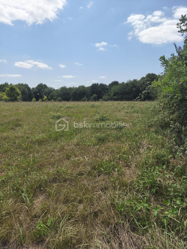 Terrain constructible - 5 300 m²