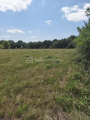 Terrain constructible - 5 300 m²