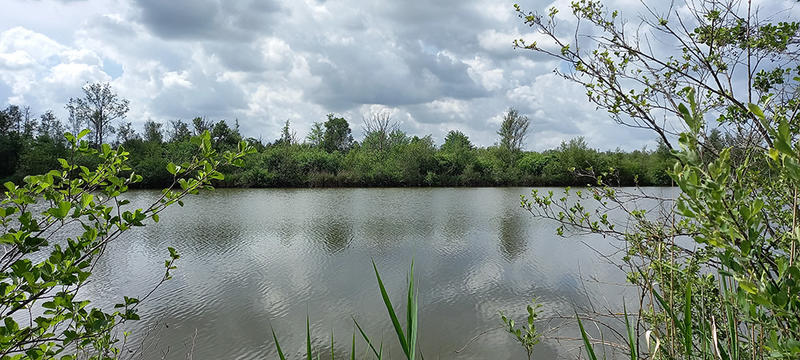 Sortie nature à Liesse-Notre-Dame : "Les oiseaux en liesse !"