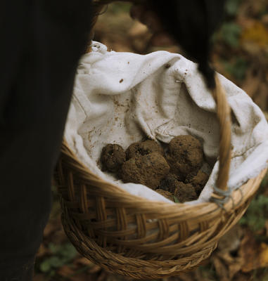 Marché aux truffes