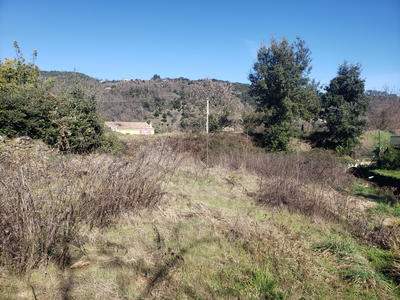 Terrain - 780 m²