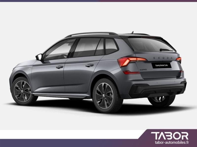 Skoda Kamiq Dsg Monte Pano Matrix Acc Cam Kessy