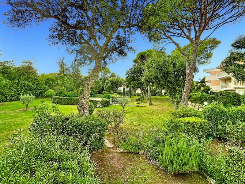 Appartement - 55 m² - 2 pièces