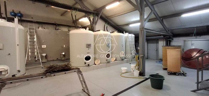 Propriété - 650 m² - 8 pièces