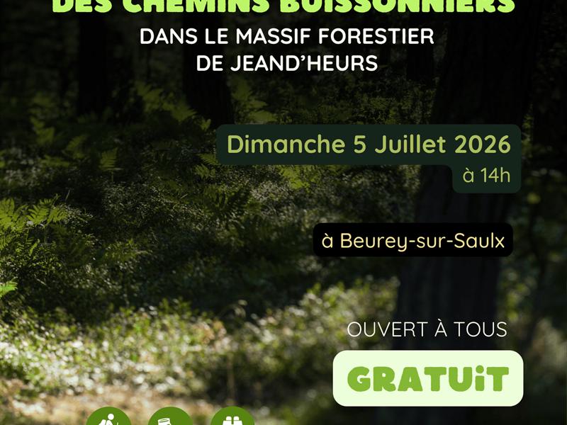 Animation nature : à l'aventure des chemins buissonniers