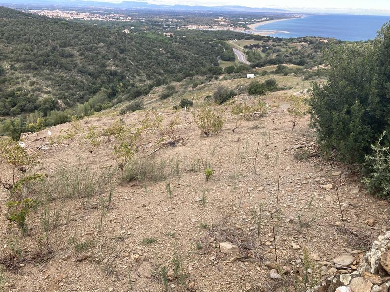 Terrain agricole - 10 846 m²