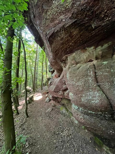 Initiation Geocaching au Loosthal