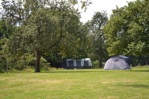 Camping sous les poiriers