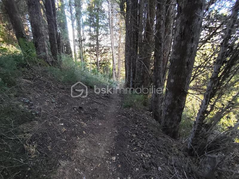 Terrain agricole - 1 625 m²