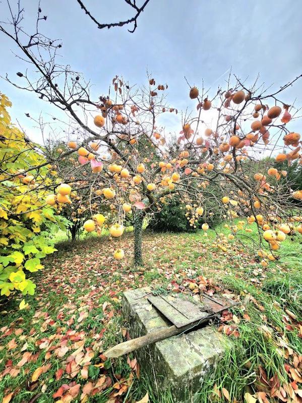 Maison de maîtres - 370 m² - 8 pièces