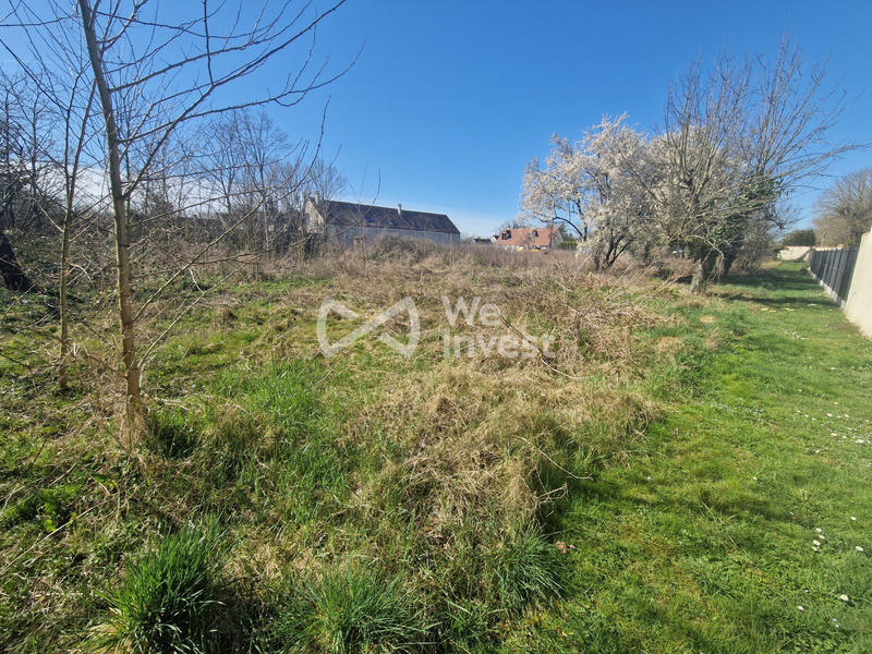 Terrain - 2 750 m²