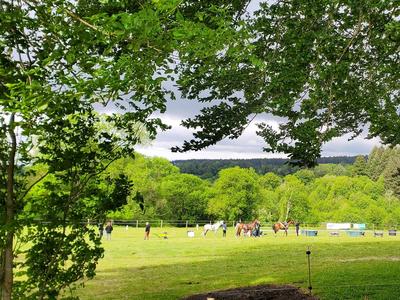 Endurance Équestre en Montagne Noire