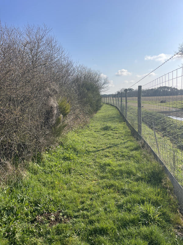 Terrain - 34 900 m²