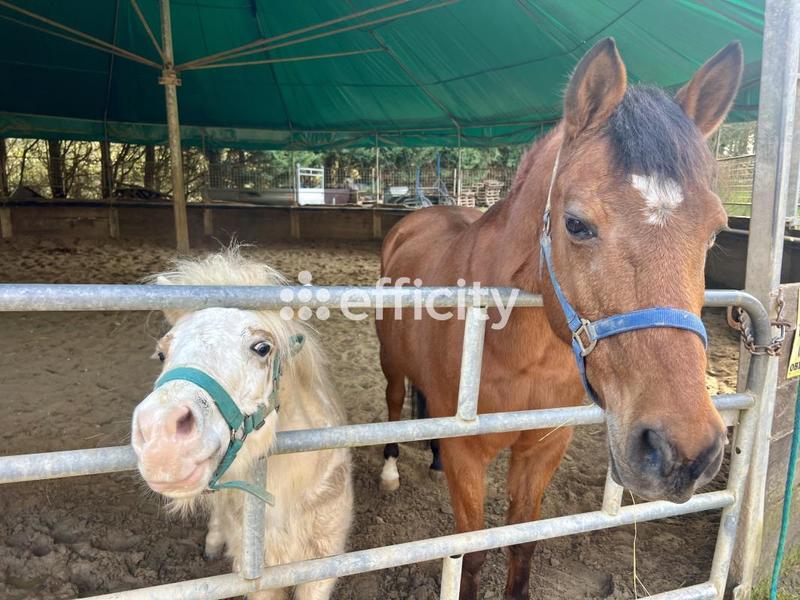 Maison - 132 m² - 7 pièces