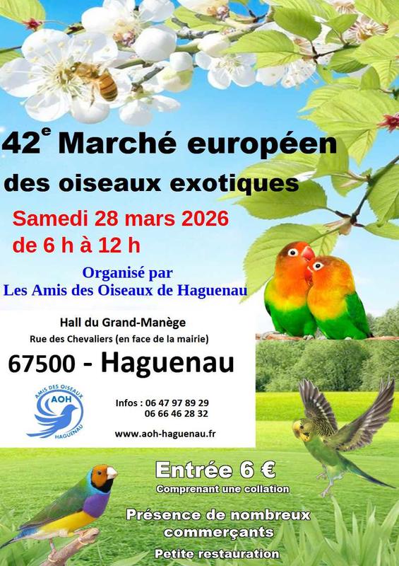 42e marché européen des oiseaux exotiques