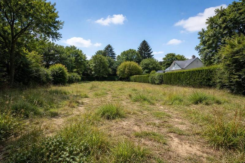 Terrain - 1 127 m²
