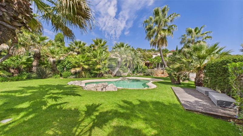 Viager - Maison - 307 m² - 6 pièces