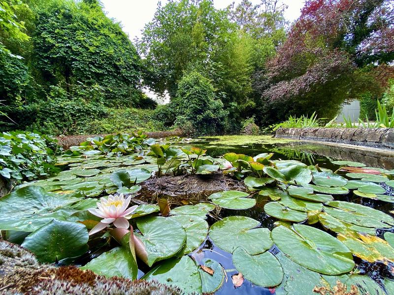 Propriété - 500 m² - 13 pièces