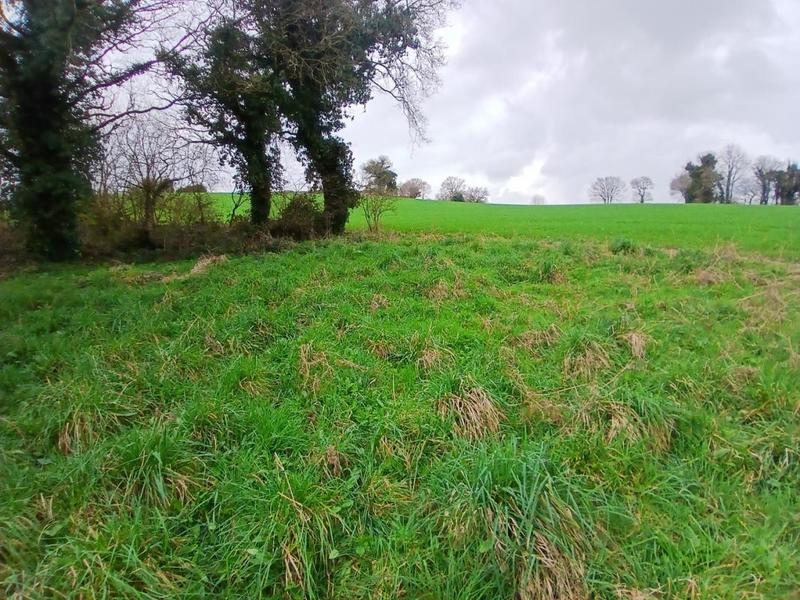 Maison en pierre - 53 m² - 3 pièces