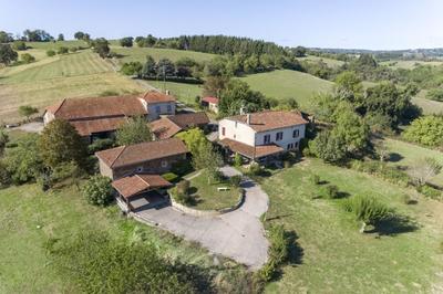 Maison en pierre - 232 m² - 7 pièces