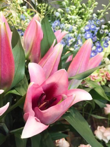 Les fleurs, c'est lui!!!