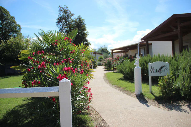 Château - 1 500 m² - 25 pièces