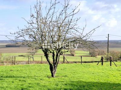 Maison - 118 m² - 4 pièces