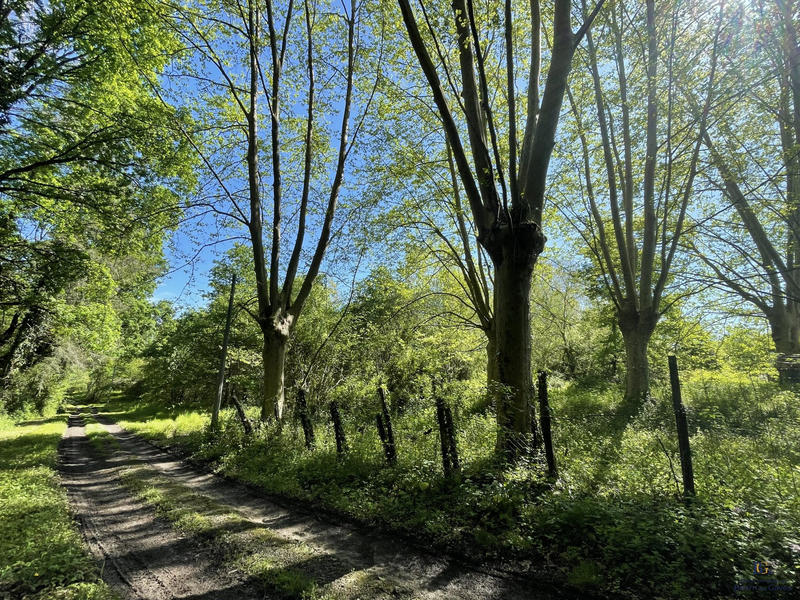 Maison - 190 m² - 7 pièces