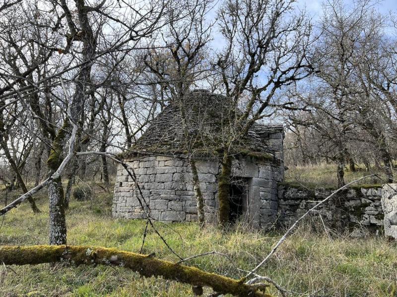 Propriété - 230 m² - 7 pièces