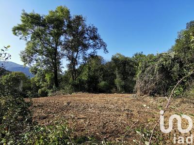 Terrain - 3 045 m²