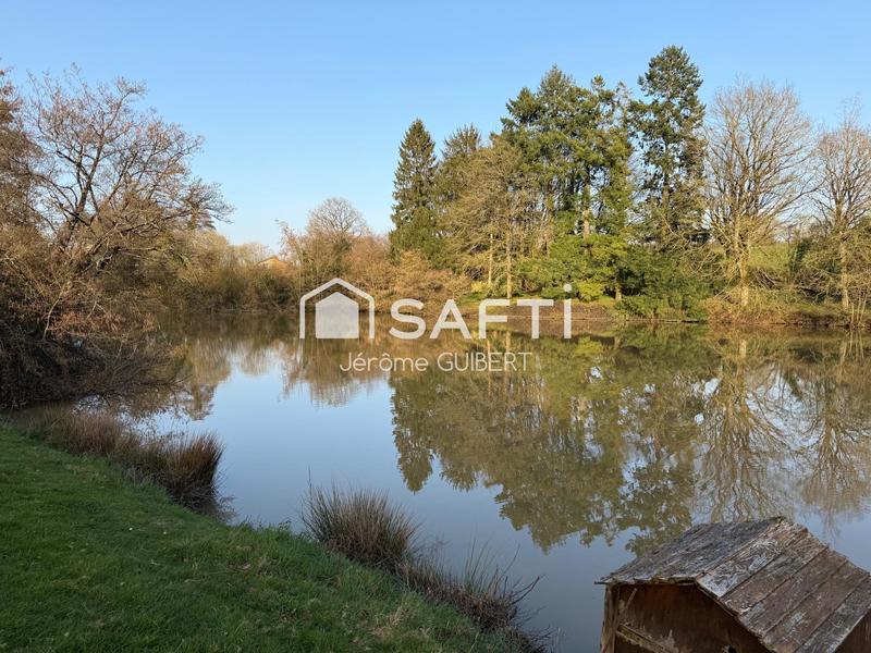 Terrain - 11 860 m²