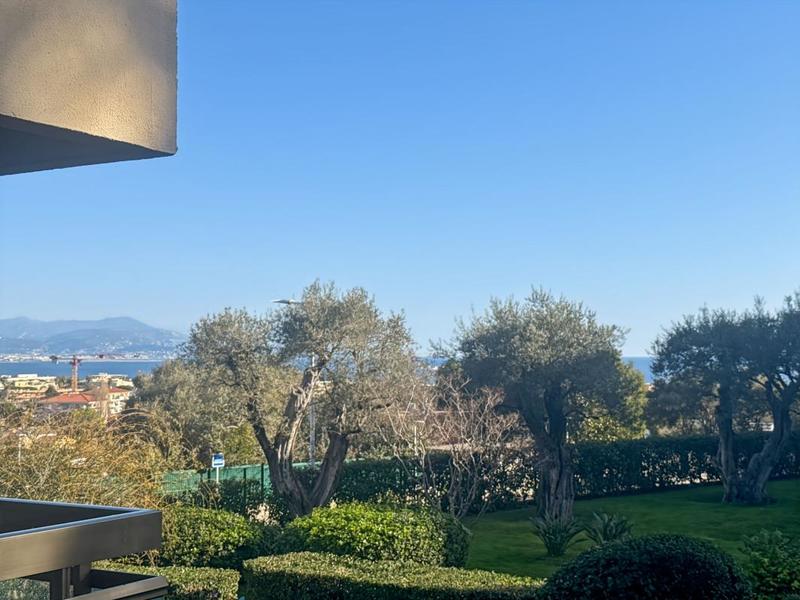 Studio - 30 m² - 1 pièce