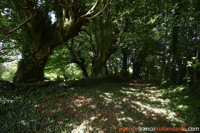 Chaumière - 75 m² - 4 pièces