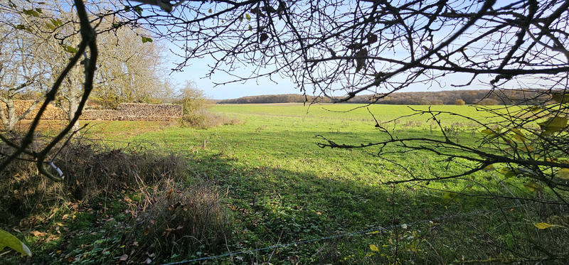 Maison - 84 m² - 5 pièces